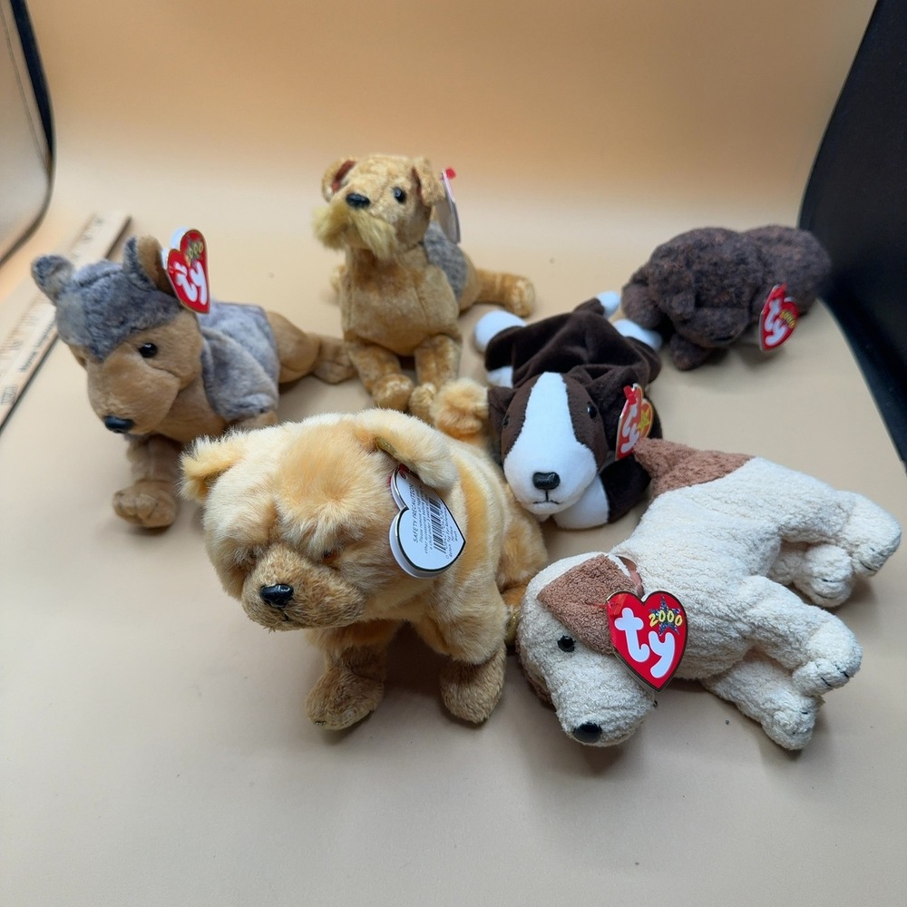 Ty Beanie Baby Dog Lot of 6 Plush Stuffed Animals with Tags 2000 Era